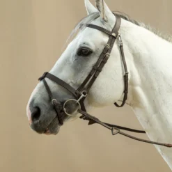 Dy'on Working Collection Flat Flash Bridle With Snap Hooks