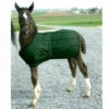 Foal Blanket
