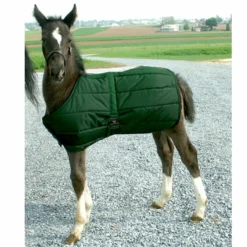 Foal Blanket