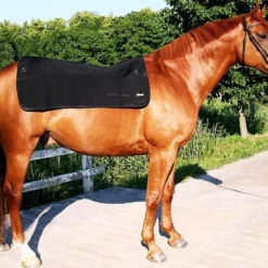 Back On Track Back Warmer