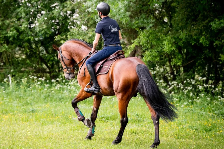 Winderen Comfort Jump Half Pad - 18mm - Image 6