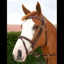 Dy'on Working Collection Fancy Flash Bridle With Snap Hooks