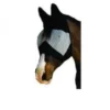 Equestar Fly Mask