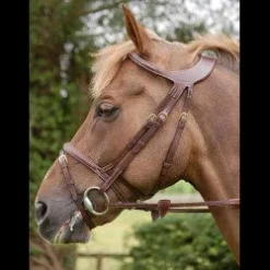 Dy'on D Collection Difference Flash Noseband Bridle
