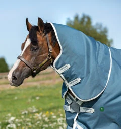 Horseware Ireland Amigo AmEco Bravo 12 Plus Turnout - 0g - Image 4