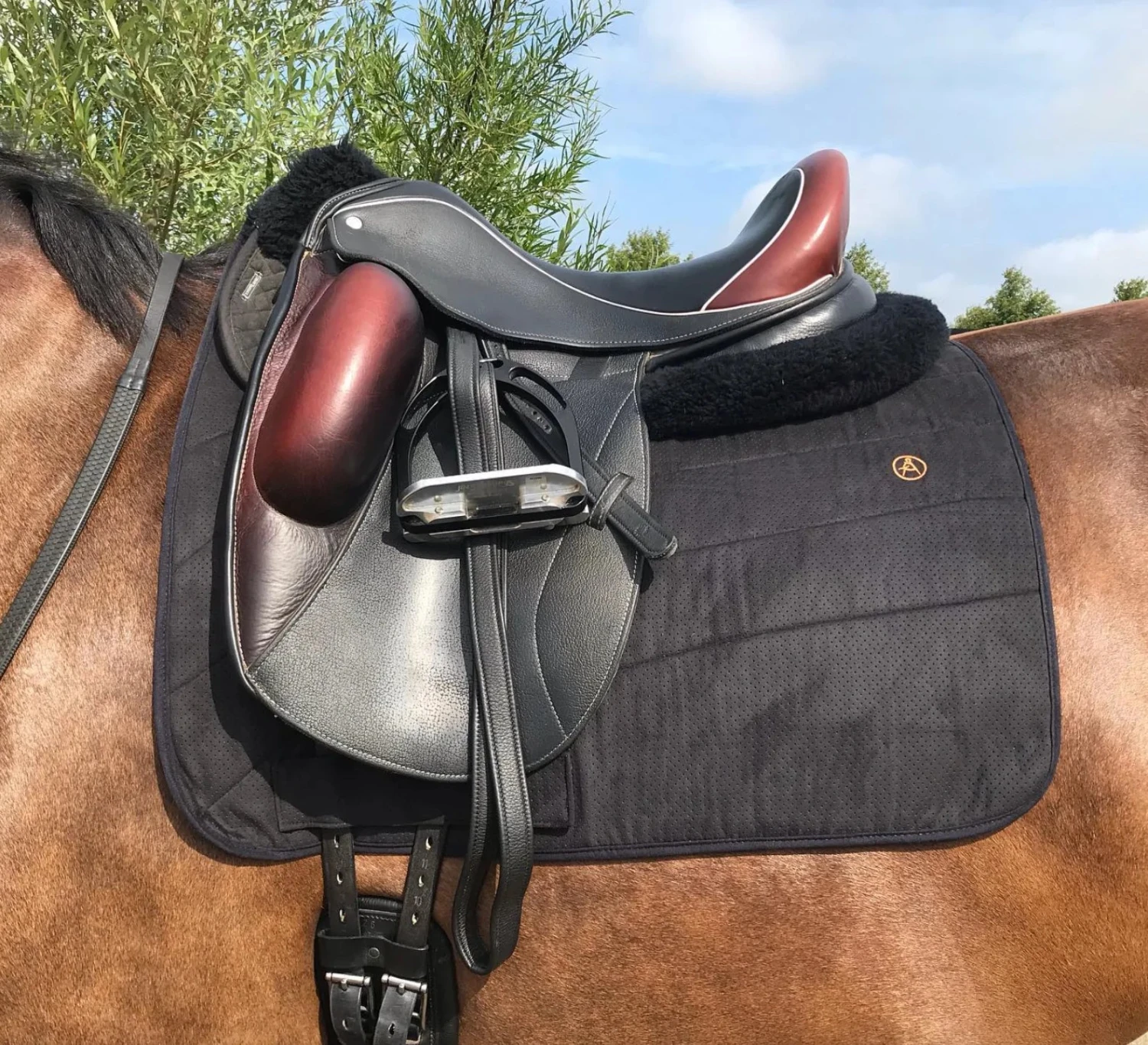 Anatomeq Perfeq Dressage Pad - Various Colours