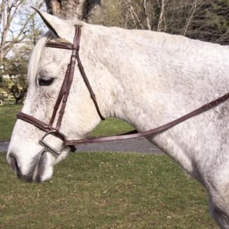 Pro-Trainer Fancy Stitched Raised Bridle