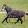 Horseware Ireland Amigo Bravo 12 Plus Lite Turnout (0g) - DISC FRONT