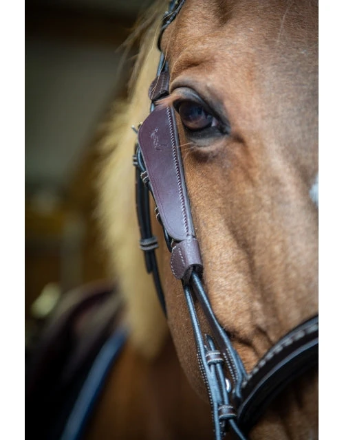 PÉNÉLOPE Penelope Blinkers - Image 2