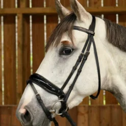 Dy'on Working Collection Large Crank Flash Noseband Bridle - 2 Colours