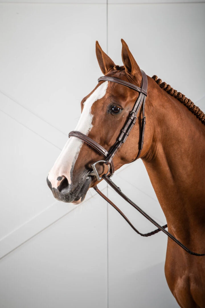 Dy'on US Hunter Collection Cavesson Noseband Bridle - Image 2