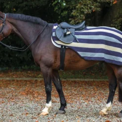 Rambo Fleece Competition Sheet 1/4 Sheet - Various Colours