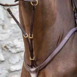 Dy'on D Collection Running Martingale Attachment