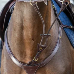 Dy'on D Collection Elastic Running Martingale Attachment