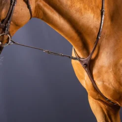 Dy'on New English Collection Standing Martingale Attachment