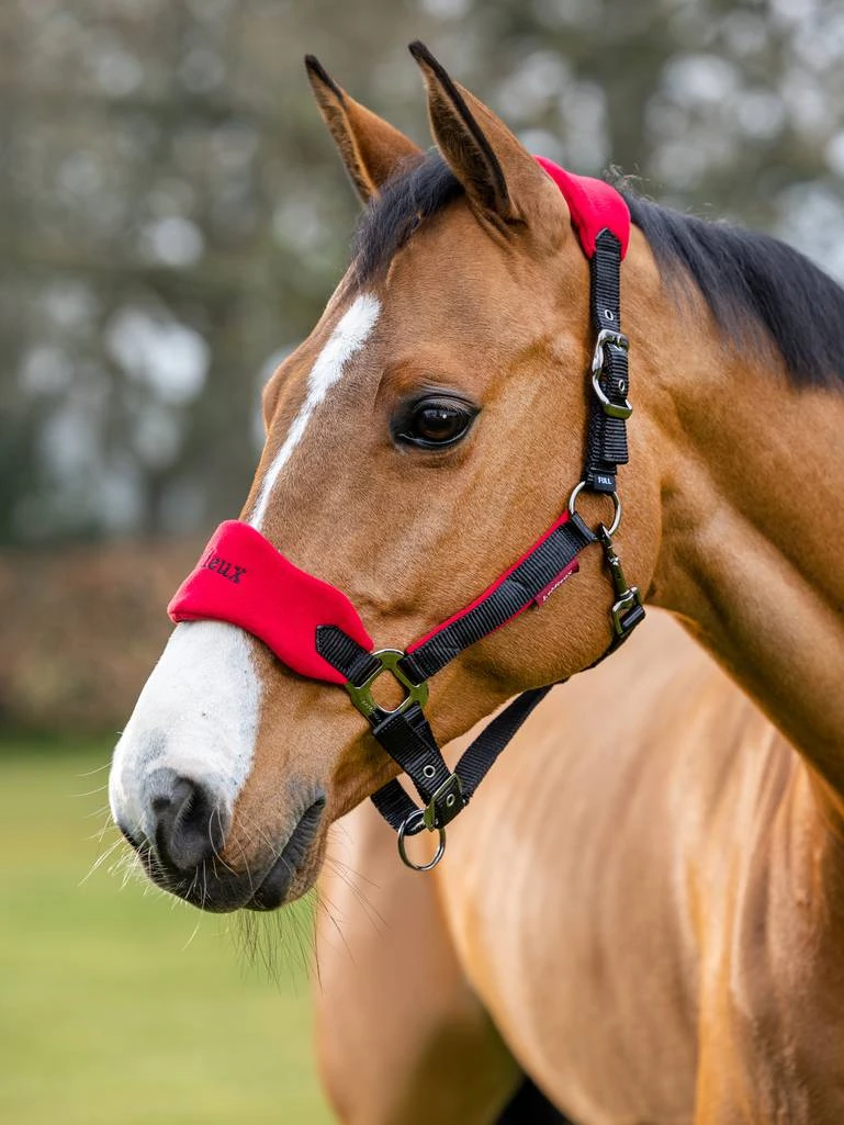 LeMieux Vogue PONY Headcollar And Leadrope - CHILLI - Image 2