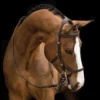 Rambo Micklem Competition Bridle W/ Reins