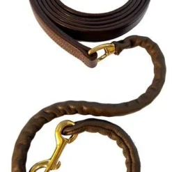 Walsh Leather Covered Chain Lead