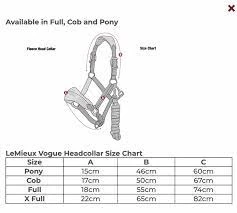 LeMieux Vogue PONY Headcollar And Leadrope - CHILLI - Image 3