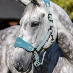 LeMieux Vogue PONY Headcollar And Leadrope - SAGE