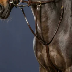 Dy'on D Collection Running Martingale