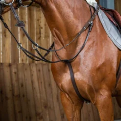 Dy'on Working Collection Running Martingale