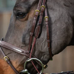 Dy'on D Collection Gag Cheek Pieces