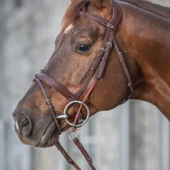 Dy'on New English Collection Gag Cheek Pieces