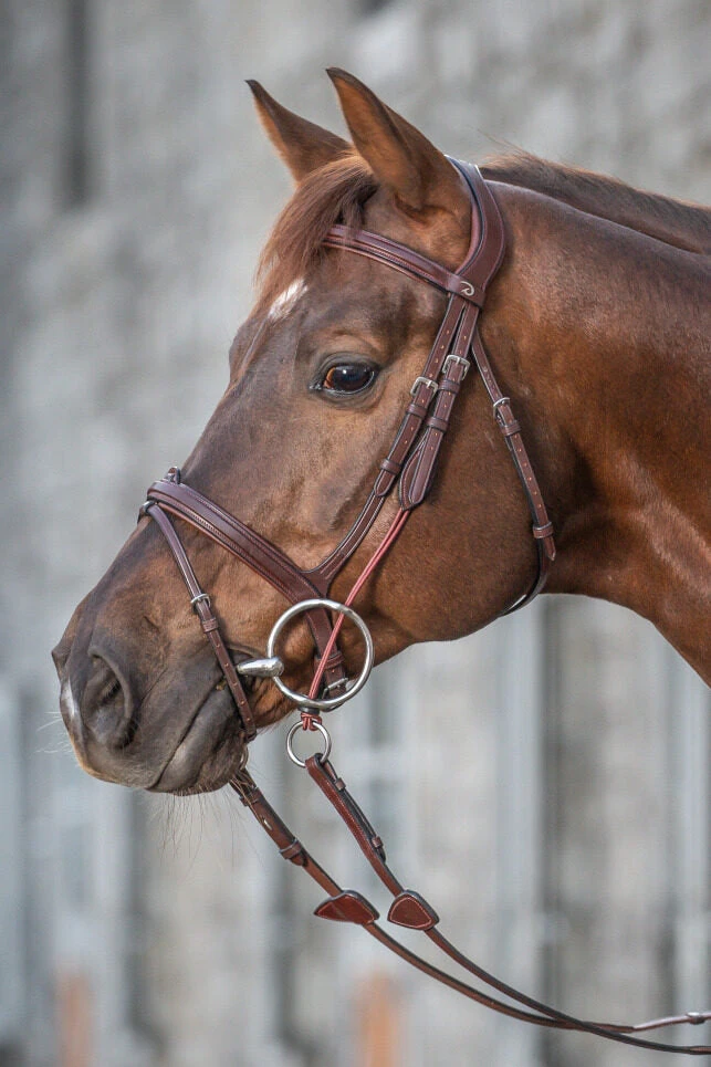 Dy'on New English Collection Gag Cheek Pieces