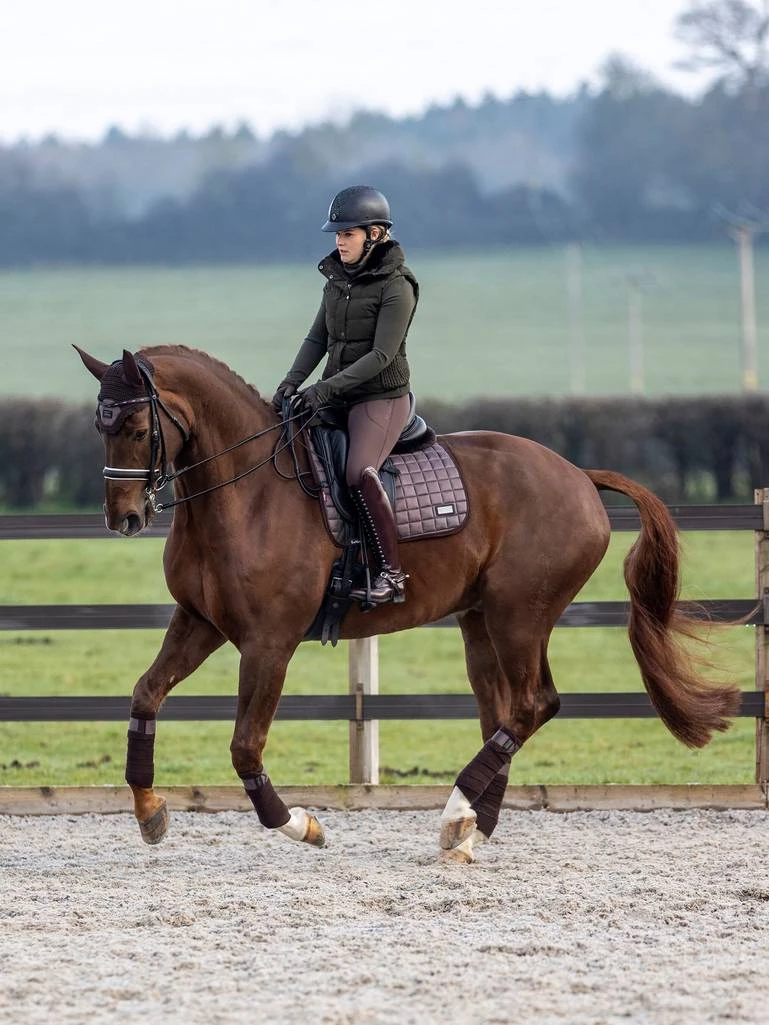 LeMieux RHONE Dressage Saddle Pad - ESPRESSO - Image 2