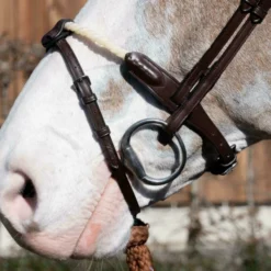 Dy'on New English Collection Flash Noseband Strap Brown