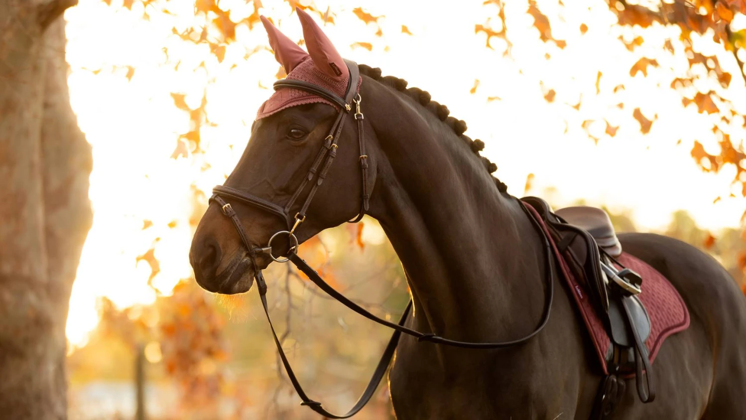 LeMieux Classic Fly Hood - ORCHID - Image 3