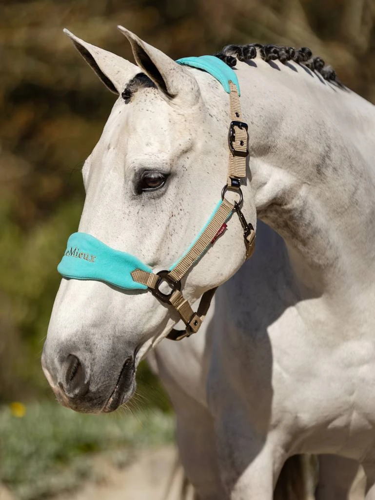 LeMieux Vogue PONY Headcollar And Leadrope - AZURE - Image 2