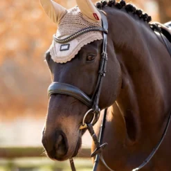 LeMieux RHONE Fly Veil - PROSECCO