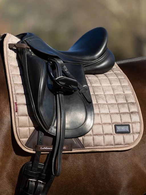 LeMieux RHONE Dressage Saddle Pad - PROSECCO - Image 2