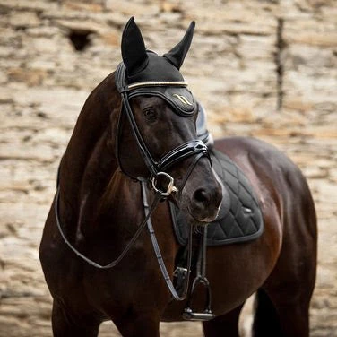 Back On Track Airflow Jumper Saddle Pad - BLACK - Image 2