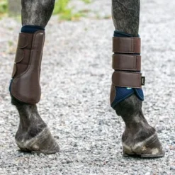 Back On Track Airflow Brushing Boot - BLUE